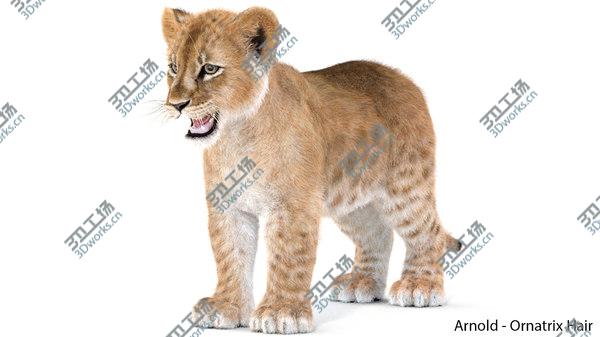 images/goods_img/20210312/Baby Lion Furry 3D/3.jpg